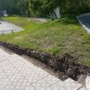 Лето 2024г.